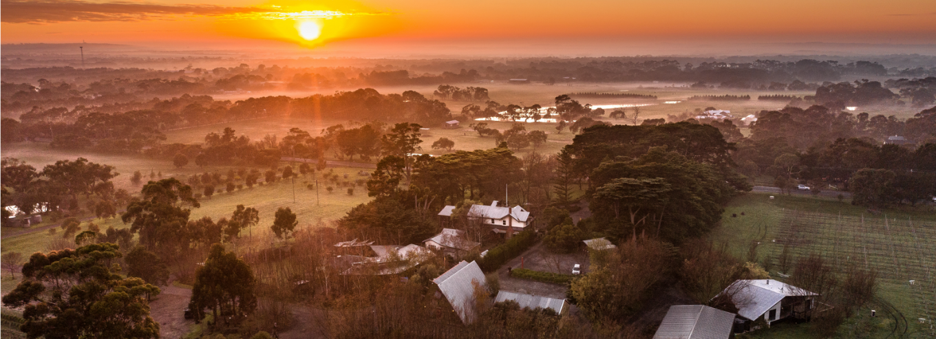 Sunset at Oakdene vineyard 
